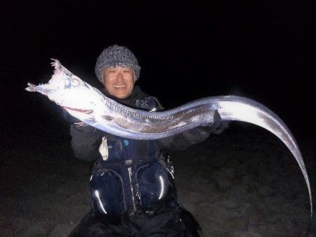 コノシロパターンのドラゴン太刀魚 コノシロパターンのドラゴン太刀魚