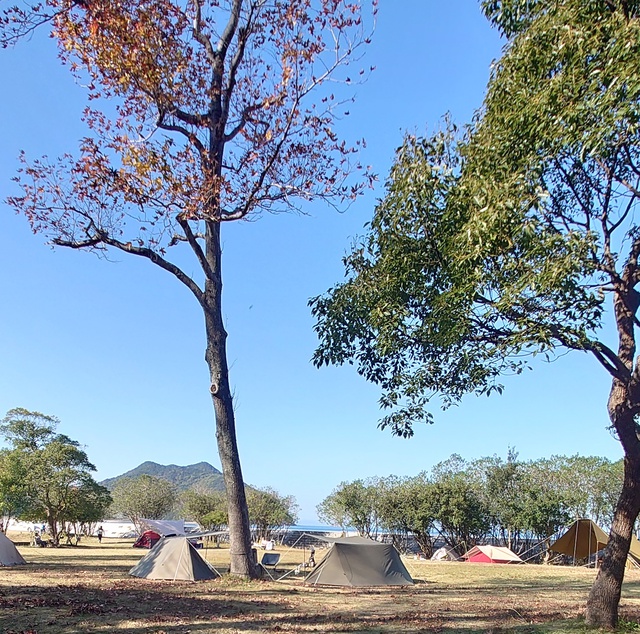 紅葉と海に癒やされたソロキャンプ「東かがわ市・田の浦野営場」