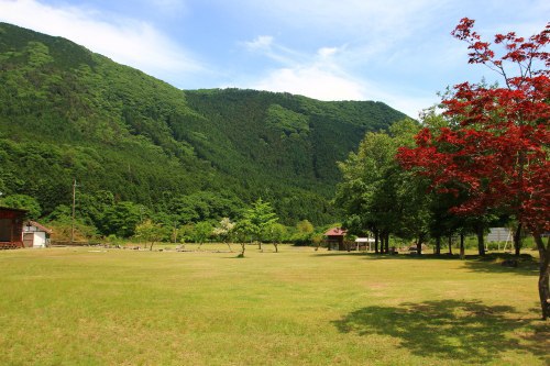 WAKO PARKキャンプ場 WAKO PARKキャンプ場