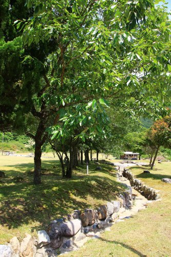 WAKO PARKキャンプ場 WAKO PARKキャンプ場