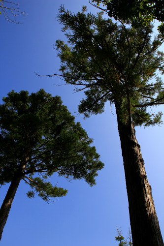 鏡ヶ成でも、灼熱。。。 鏡ヶ成でも、灼熱。。。