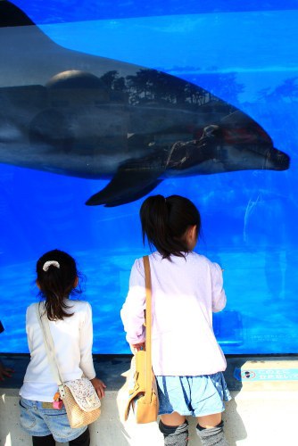 GW ふらり海岸線の旅 GW ふらり海岸線の旅