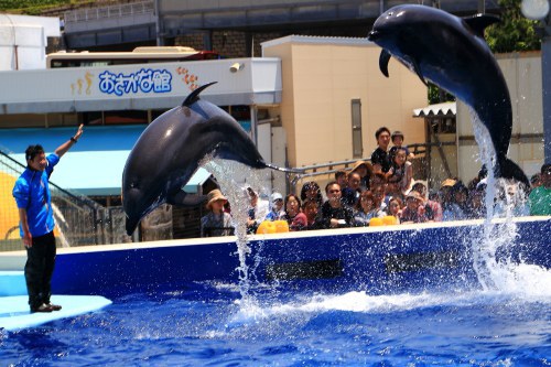 GW ふらり海岸線の旅 GW ふらり海岸線の旅