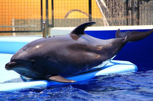 GW ふらり海岸線の旅 GW ふらり海岸線の旅