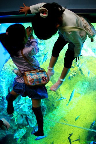 GW ふらり海岸線の旅 GW ふらり海岸線の旅