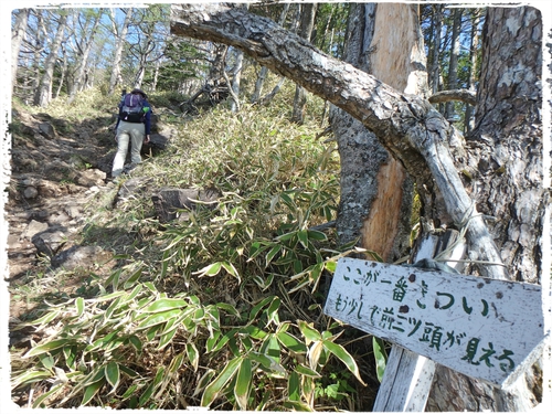 八ヶ岳連峰のカッコいい勇姿を楽しめる八ヶ岳・三ツ頭へ。夏YAMA2017 八ヶ岳連峰のカッコいい勇姿を楽しめる八ヶ岳・三ツ頭へ。夏YAMA2017