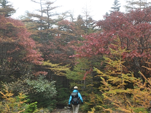 秋深まる浅間山ハイキング～一瞬の青空でテンションMAX！紅葉も楽しめました！
