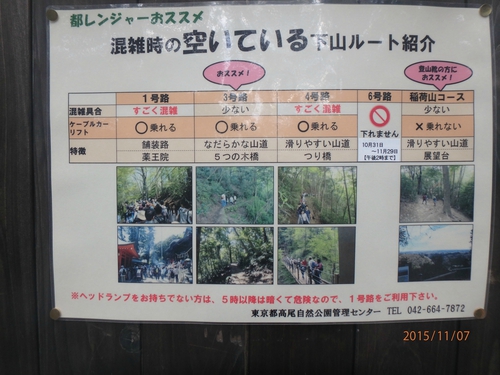 高尾山〜陣馬山縦走 秋山ハイキング♪ 高尾山〜陣馬山縦走 秋山ハイキング♪