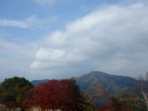 高尾山〜陣馬山縦走 秋山ハイキング♪ 高尾山〜陣馬山縦走 秋山ハイキング♪