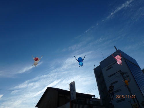 TBSにち10公開放送へ出撃!in小田原2015 TBSにち10公開放送へ出撃!in小田原2015