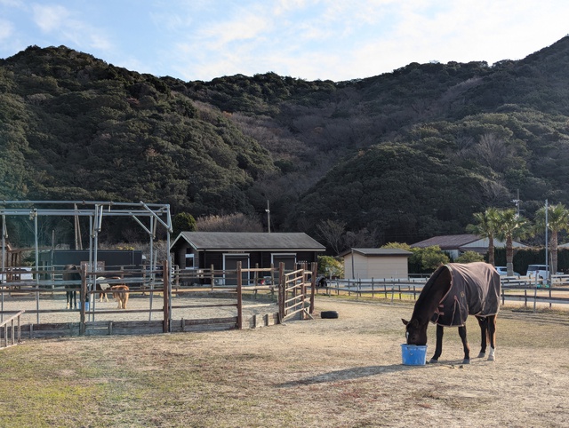 年明けキャンプ 年明けキャンプ