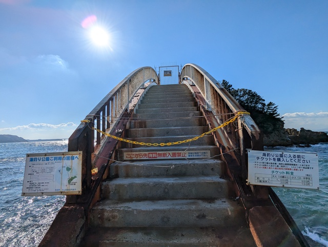 年明けキャンプ 年明けキャンプ