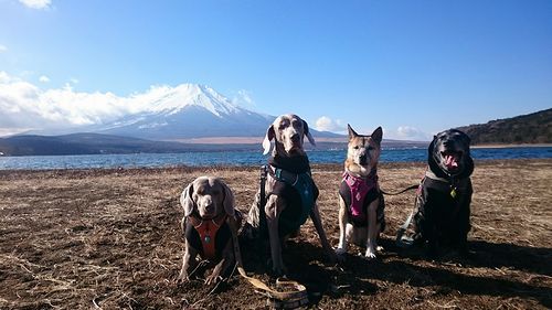 お試し開設~! お試し開設~!