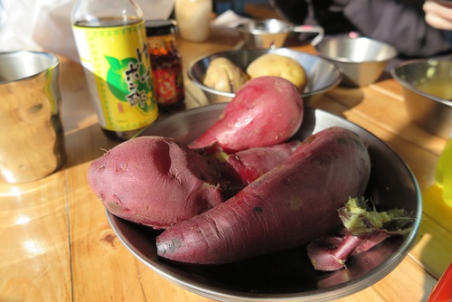 今年の冬は(健忘録) 今年の冬は(健忘録)