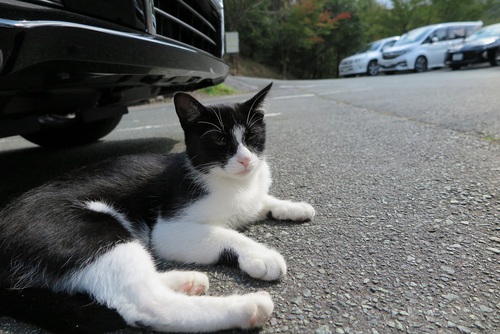 連休は車中泊②