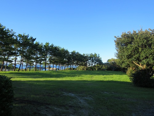 夏休み(屋久島編NO.番外編) 夏休み(屋久島編NO.番外編)