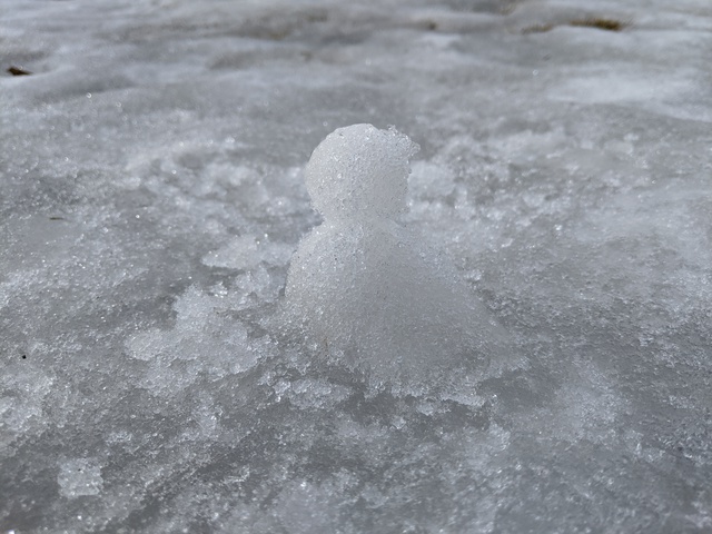雪・・・・中キャンプ?に来てました。 雪・・・・中キャンプ?に来てました。