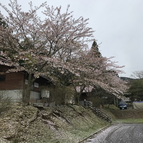 中学入学前、最後のキャンプ② 中学入学前、最後のキャンプ②