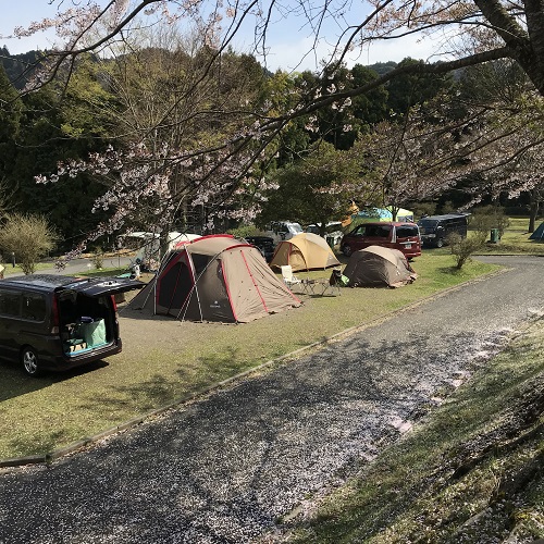 中学入学前、最後のキャンプ② 中学入学前、最後のキャンプ②