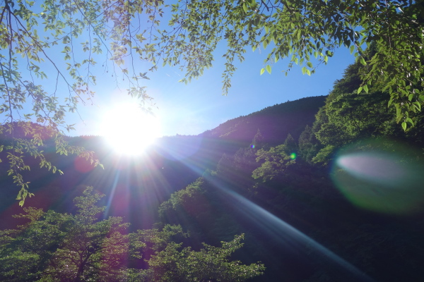 ～夏を抱きしめたくて～『神之川キャンプ場（神奈川県）』