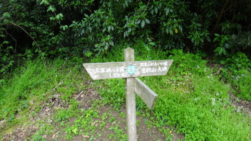 弘法山トレイル