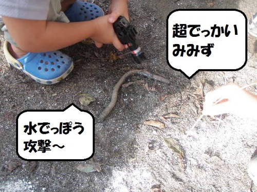 奥秩父 鈴加園 / 2012..9月 奥秩父 鈴加園 / 2012..9月
