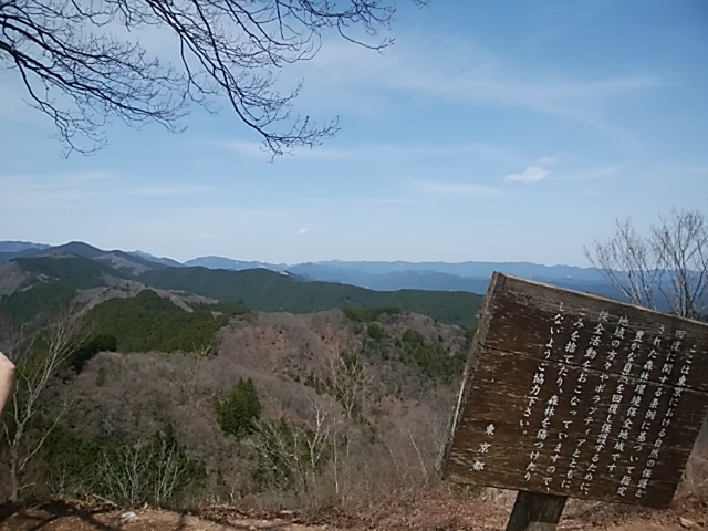 高水三山で花と散る撃沈。。。2017.4.16 高水三山で花と散る撃沈。。。2017.4.16
