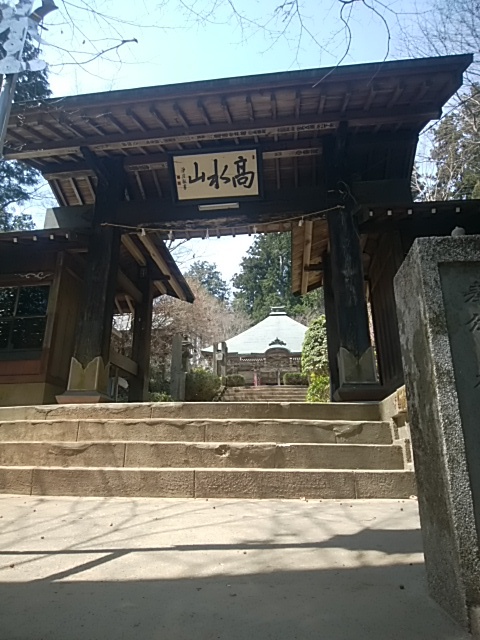 高水三山で花と散る撃沈。。。2017.4.16 高水三山で花と散る撃沈。。。2017.4.16