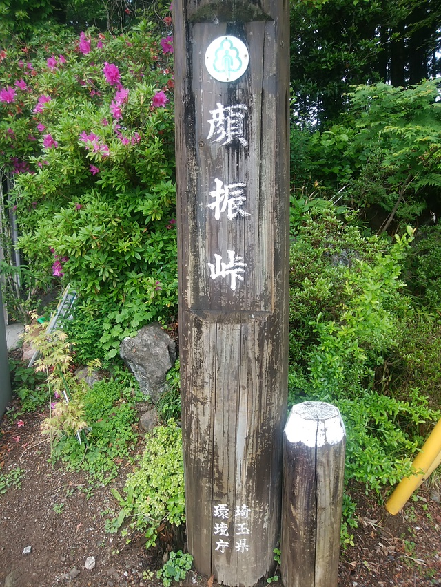 ヘタレが走る ウルトラ試走37km走。高麗駅→日和田山→北向地蔵→顔振峠。2017.5 ヘタレが走る ウルトラ試走37km走。高麗駅→日和田山→北向地蔵→顔振峠。2017.5