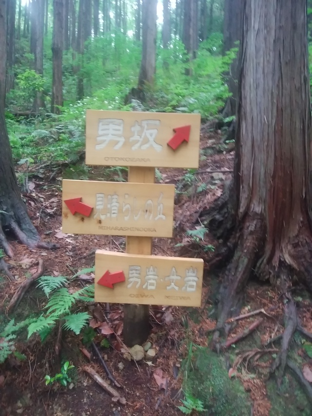 ヘタレが走る ウルトラ試走37km走。高麗駅→日和田山→北向地蔵→顔振峠。2017.5 ヘタレが走る ウルトラ試走37km走。高麗駅→日和田山→北向地蔵→顔振峠。2017.5