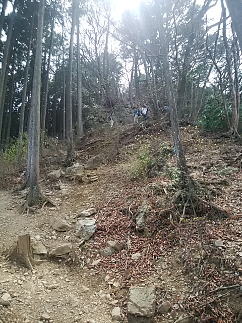 高水三山で花と散る撃沈。。。2017.4.16 高水三山で花と散る撃沈。。。2017.4.16