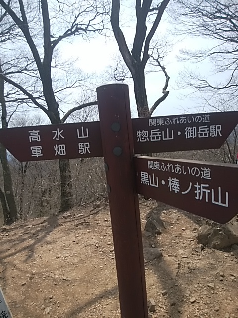 高水三山で花と散る撃沈。。。2017.4.16 高水三山で花と散る撃沈。。。2017.4.16
