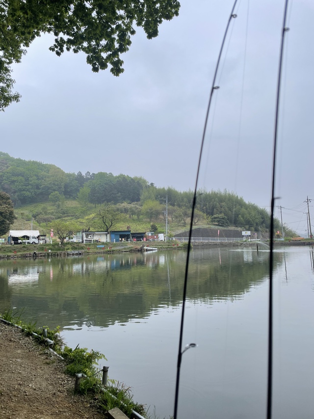 伊古リベンジ 伊古リベンジ