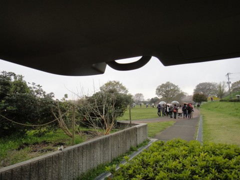 乾燥ついでにお花見もin道満 乾燥ついでにお花見もin道満