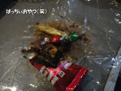 智光山梅雨オフ! 智光山梅雨オフ!