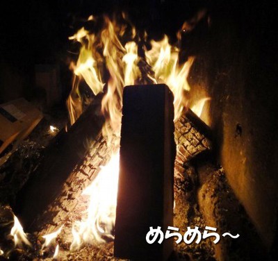 智光山梅雨オフ! 智光山梅雨オフ!