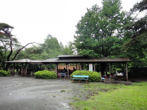 智光山梅雨オフ! 智光山梅雨オフ!