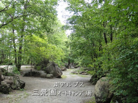 やっぱり大好き三景園(^艸^) やっぱり大好き三景園(^艸^)
