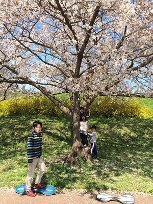 乾燥ついでにお花見もin道満 乾燥ついでにお花見もin道満