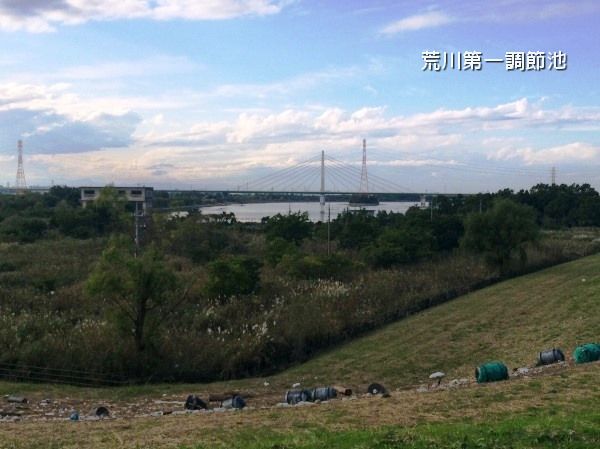 台風19号後の荒川第一調節池☆道満~カマキリ公園 台風19号後の荒川第一調節池☆道満~カマキリ公園