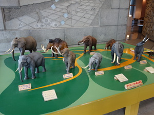 ◆ナウマン公園キャンプ場 10月12~14日 パート① ◆ナウマン公園キャンプ場 10月12~14日 パート①