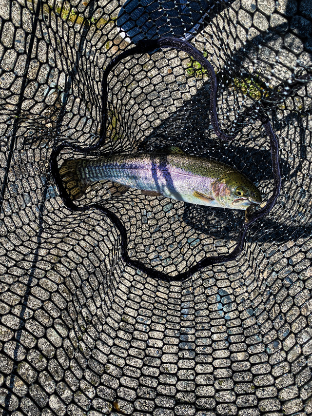 初めての管理釣り場 in FISHING LAKE TAKAMIYA