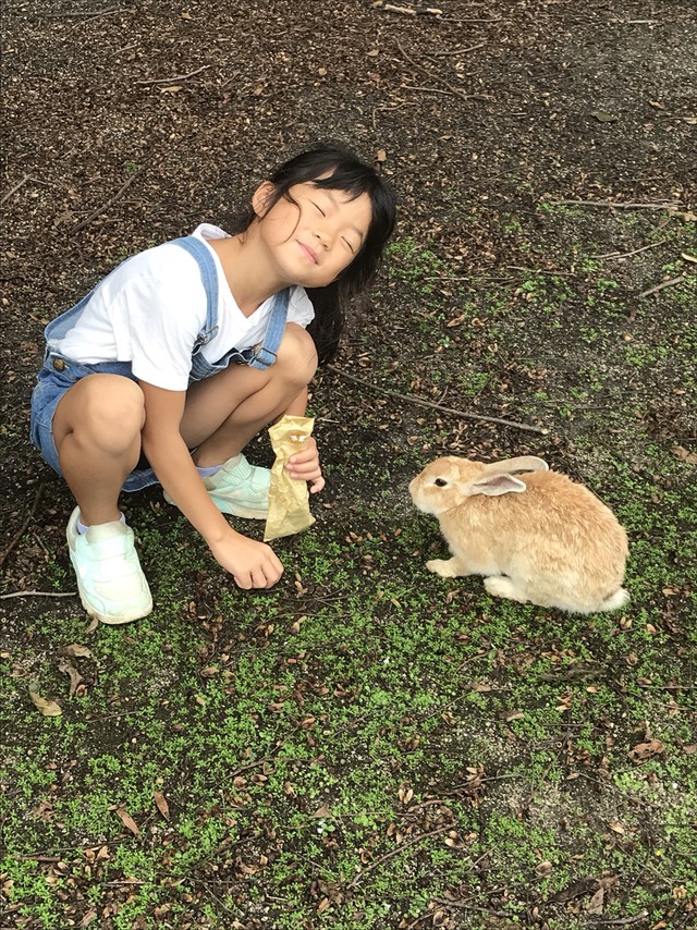 大久野島・うさぎ島キャンプ〈2018年9月15〜17日〉 大久野島・うさぎ島キャンプ〈2018年9月15〜17日〉