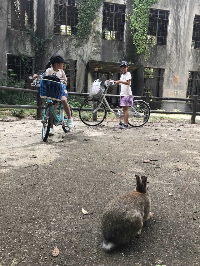 大久野島・うさぎ島キャンプ〈2018年9月15〜17日〉 大久野島・うさぎ島キャンプ〈2018年9月15〜17日〉