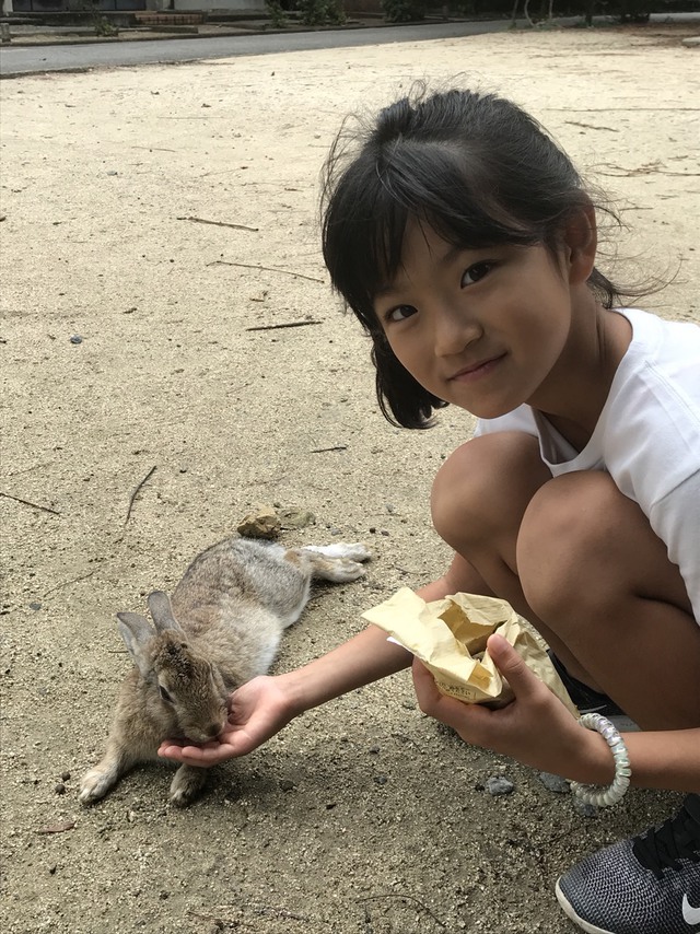 大久野島・うさぎ島キャンプ〈2018年9月15〜17日〉 大久野島・うさぎ島キャンプ〈2018年9月15〜17日〉