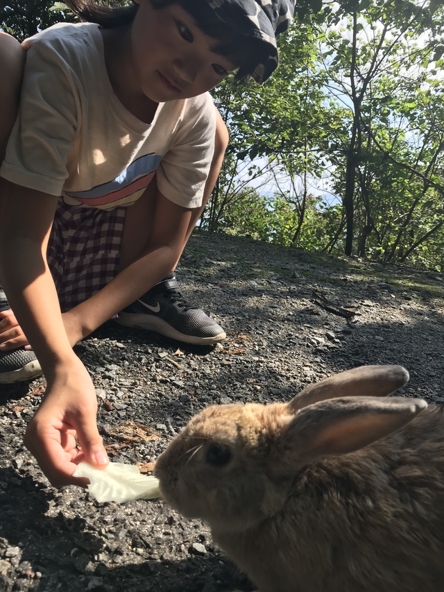 大久野島・うさぎ島キャンプ〈2018年9月15〜17日〉 大久野島・うさぎ島キャンプ〈2018年9月15〜17日〉