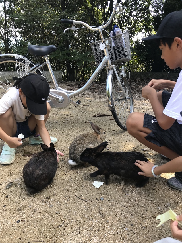 大久野島・うさぎ島キャンプ〈2018年9月15〜17日〉 大久野島・うさぎ島キャンプ〈2018年9月15〜17日〉