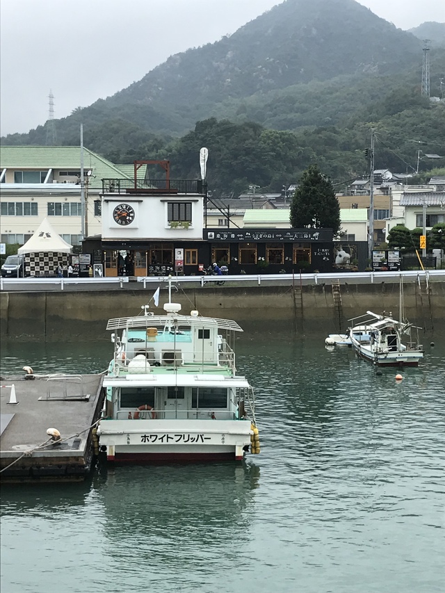 大久野島・うさぎ島キャンプ〈2018年9月15〜17日〉 大久野島・うさぎ島キャンプ〈2018年9月15〜17日〉