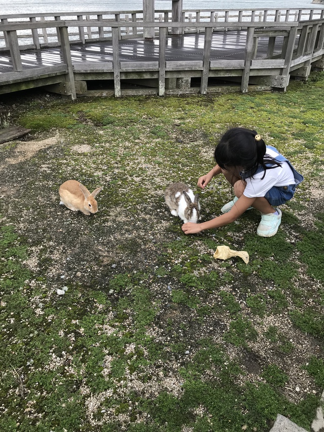 大久野島・うさぎ島キャンプ〈2018年9月15〜17日〉 大久野島・うさぎ島キャンプ〈2018年9月15〜17日〉