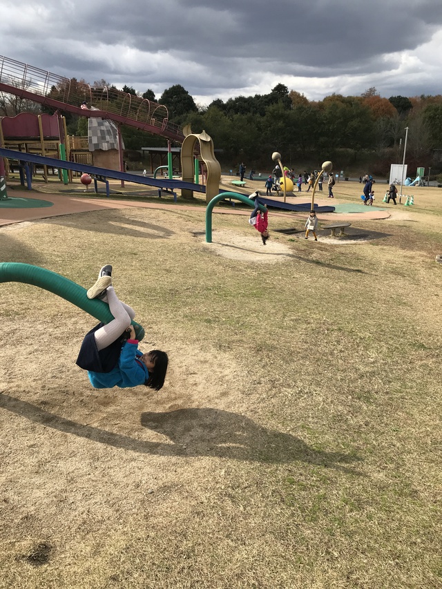 イルミキャンプ☆ イルミキャンプ☆